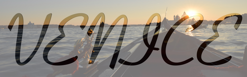 VENICEBANNER