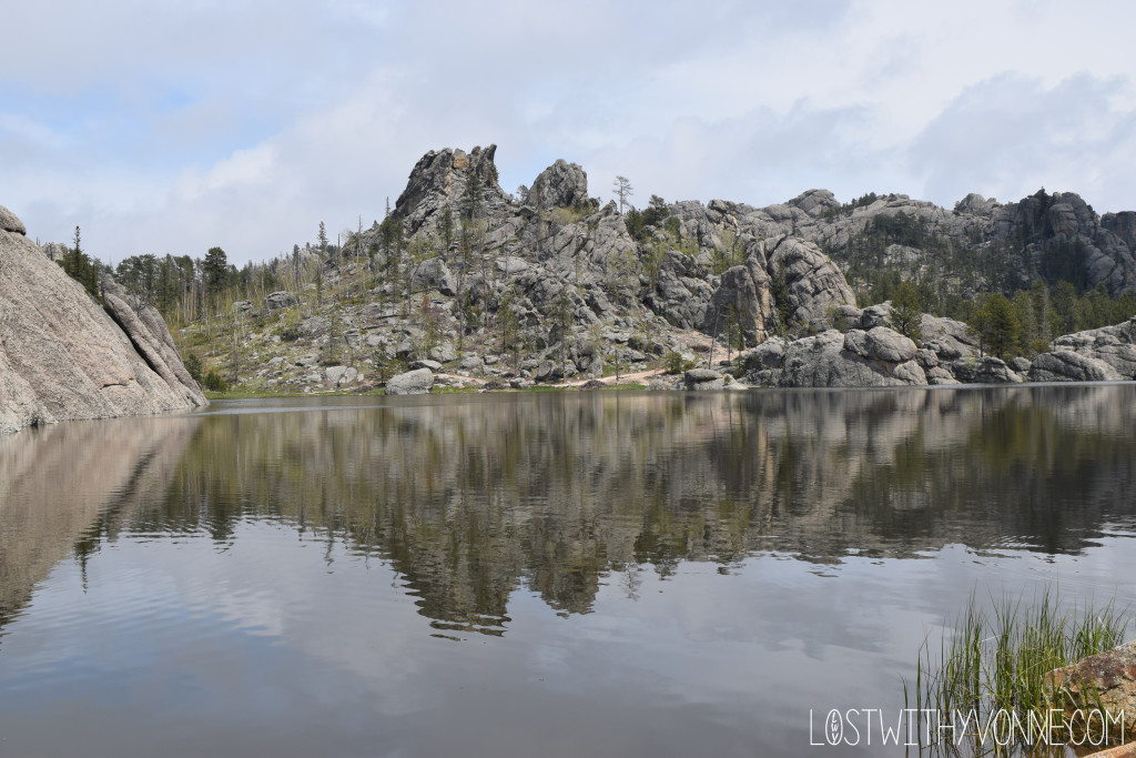 Custer State Park 2