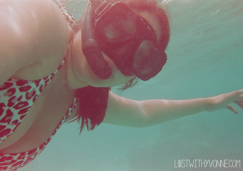 Had fun snorkeling! 