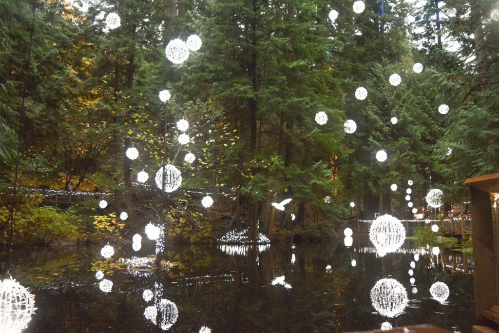 Capilano Suspension Bridge Balls