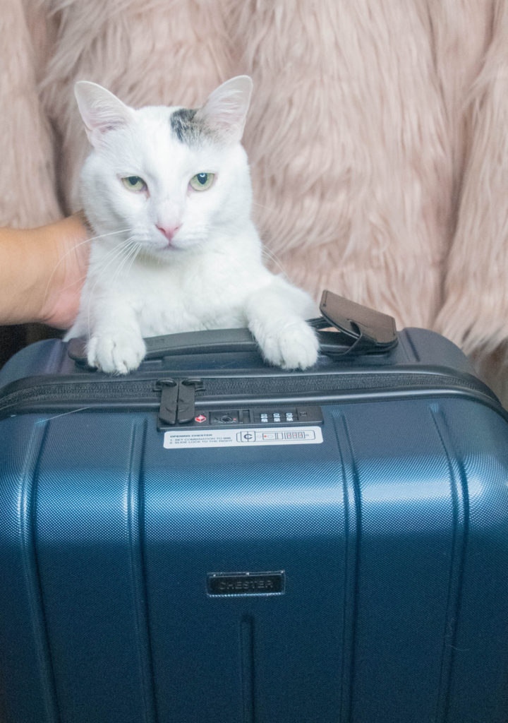 You can see my disclosure page <a href="http://www.lostwithyvonne.com/about/contact/disclosure/" target="_blank">here</a>